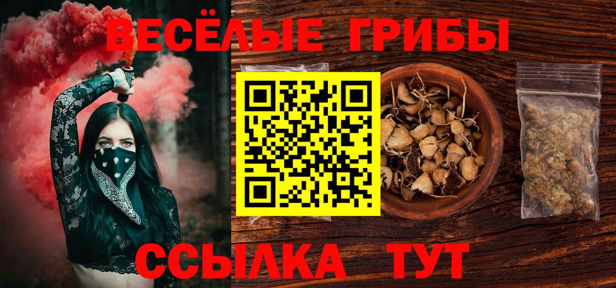 Губкинский  Галлюциногенные грибы мухоморы  Вход с VPN 