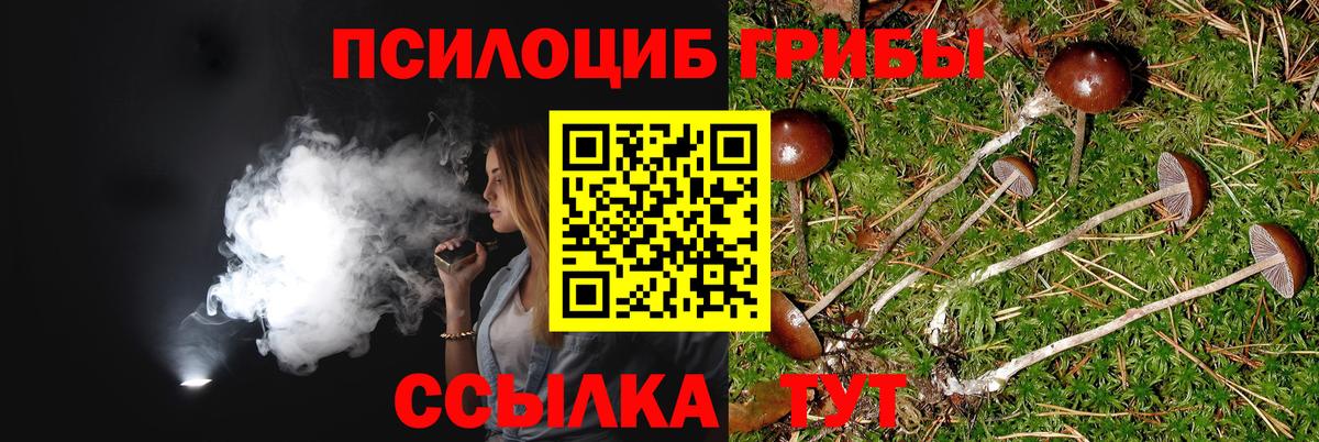 Псилоцибиновые грибы MAGIC MUSHROOMS Губкинский
